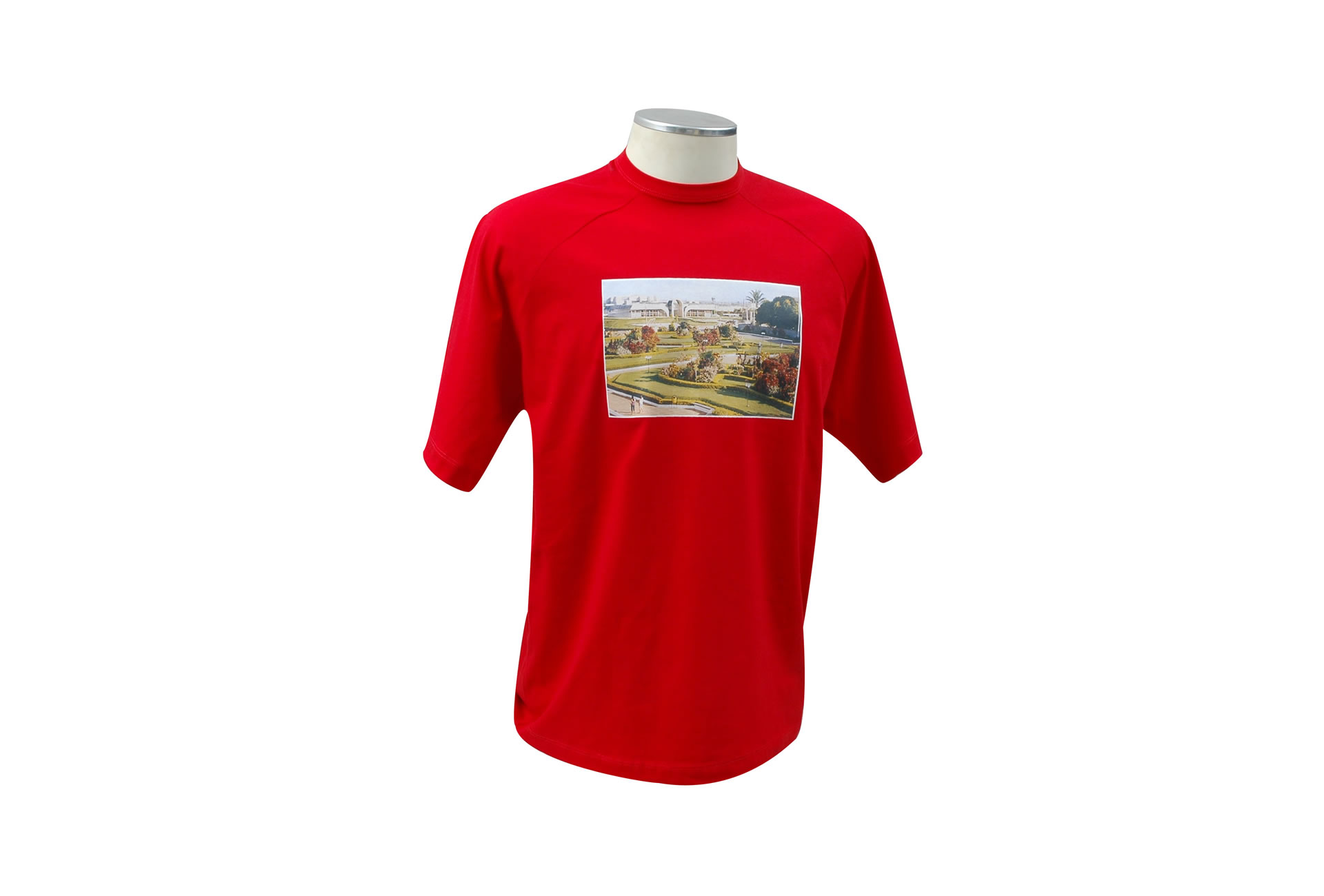 Camiseta Manga Curta